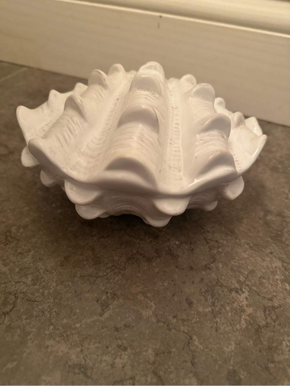Shell decor
